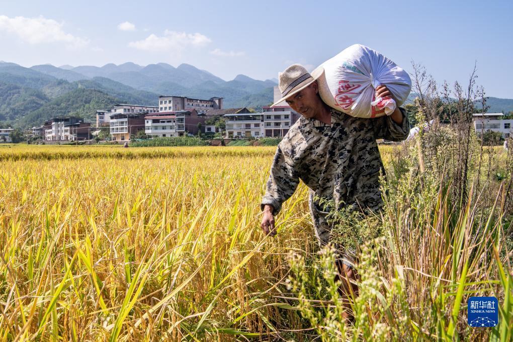 大发手机版网页版登陆